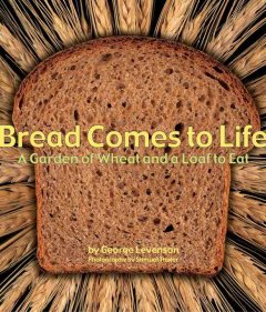 Bread comes to life : a garden of wheat and a loaf to eat  Cover Image