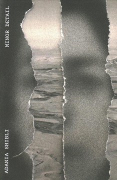 Minor detail  Cover Image