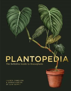 Plantopedia : the definitive guide to houseplants Book cover