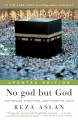 Go to record No god but God : the origins, evolution, and future of Islam