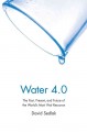 Go to record Water 4.0 : the past, present, and future of the world's m...
