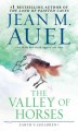Go to record The valley of horses : a novel