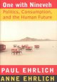Go to record One with Nineveh : politics, consumption, and the human fu...