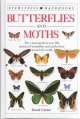 Go to record Butterflies and moths