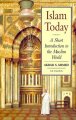 Go to record Islam today : a short introduction to the Muslim world