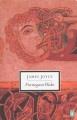 Go to record Finnegans wake